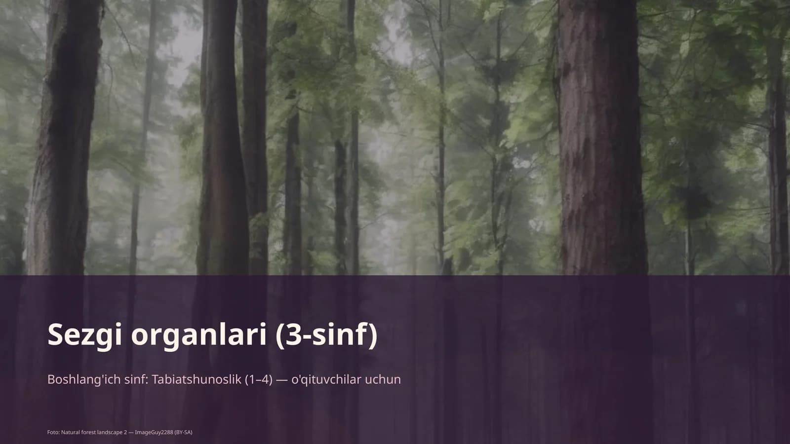 Sezgi organlari (3-sinf)