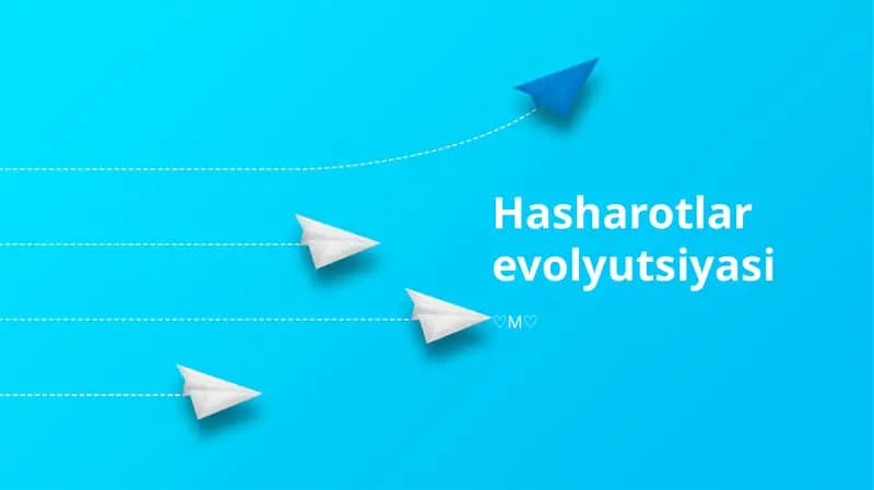 Hasharotlar evolyutsiyasi