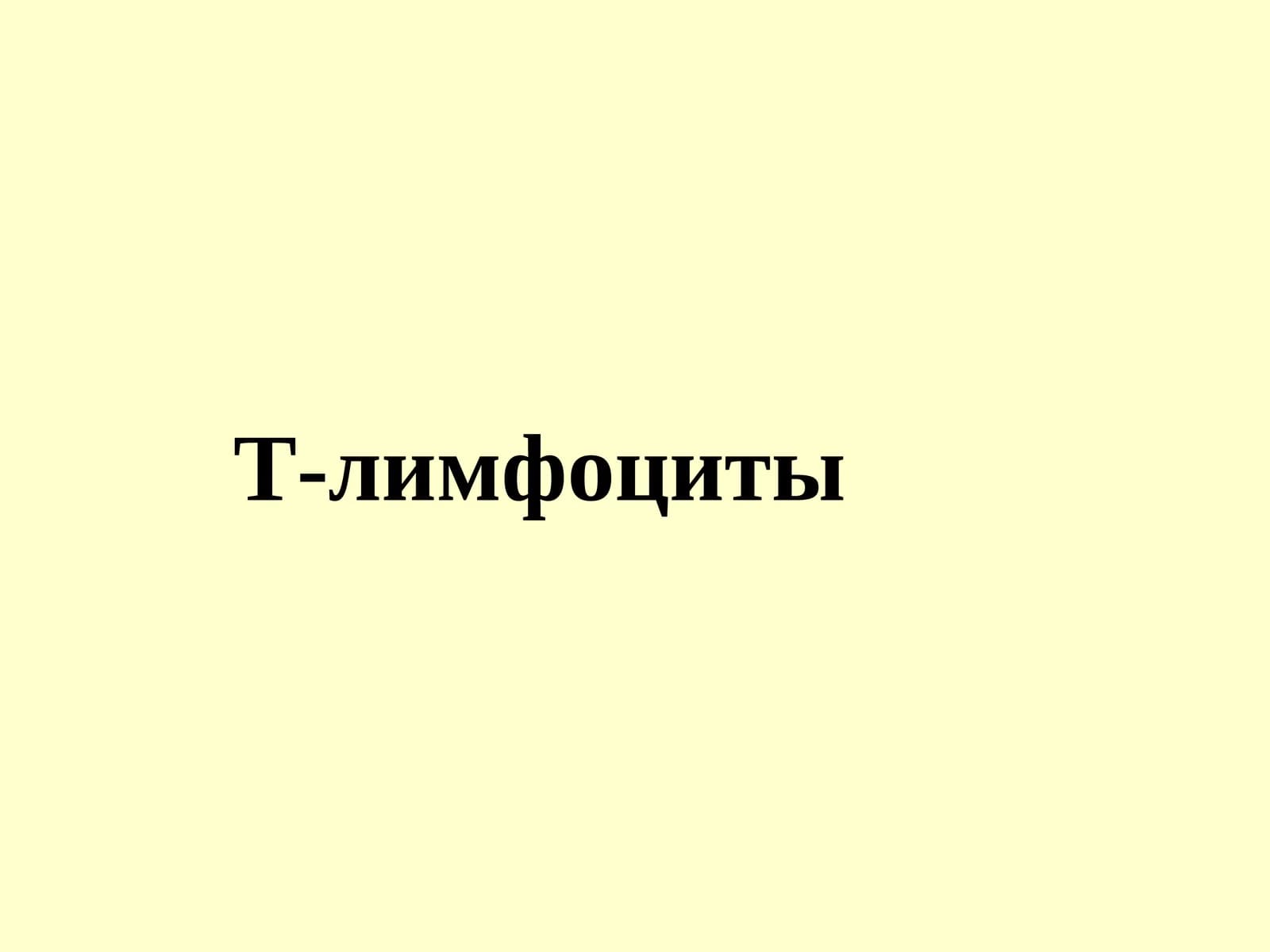 Т-лимфоциты