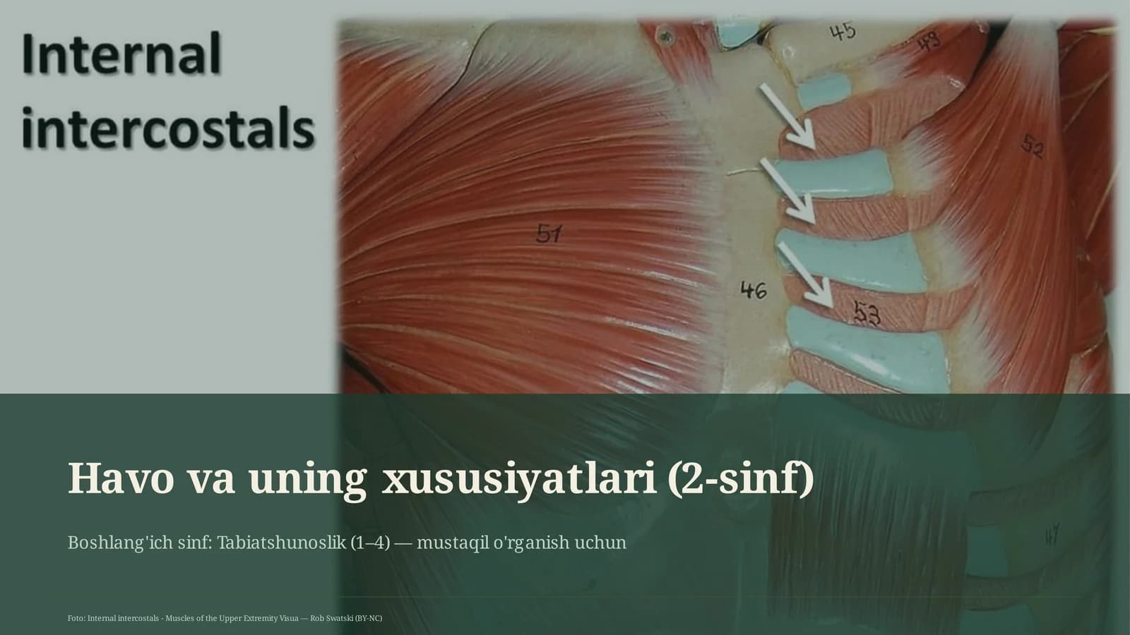 Havo va uning xususiyatlari (2-sinf)