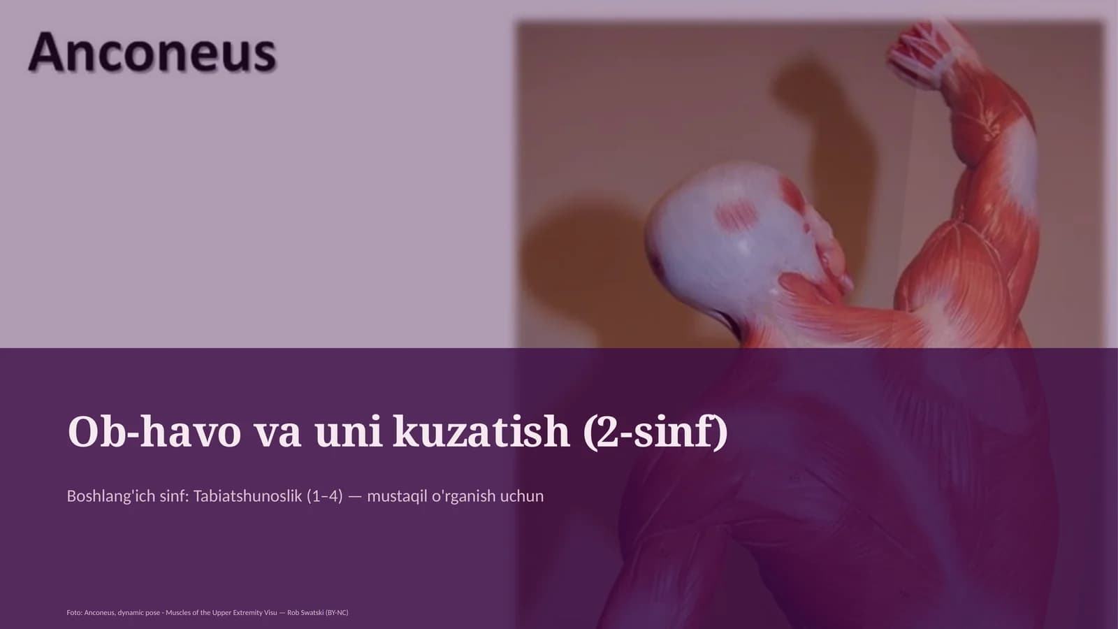 Ob-havo va uni kuzatish (2-sinf)