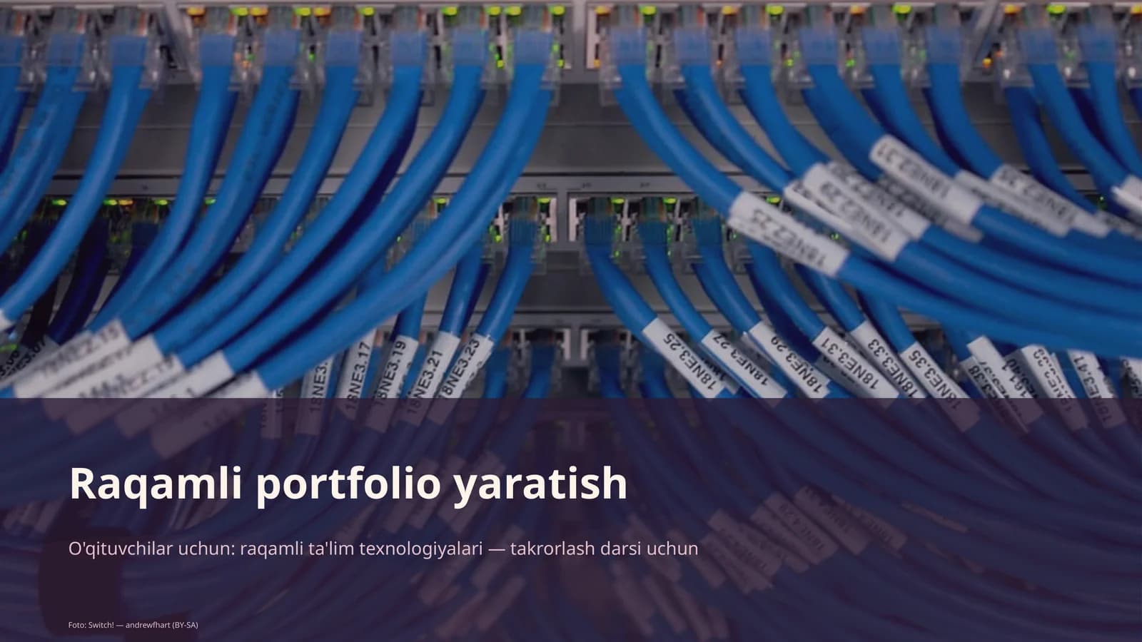 Raqamli portfolio yaratish