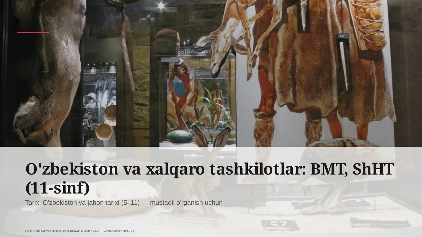 O'zbekiston va xalqaro tashkilotlar: BMT, ShHT (11-sinf)