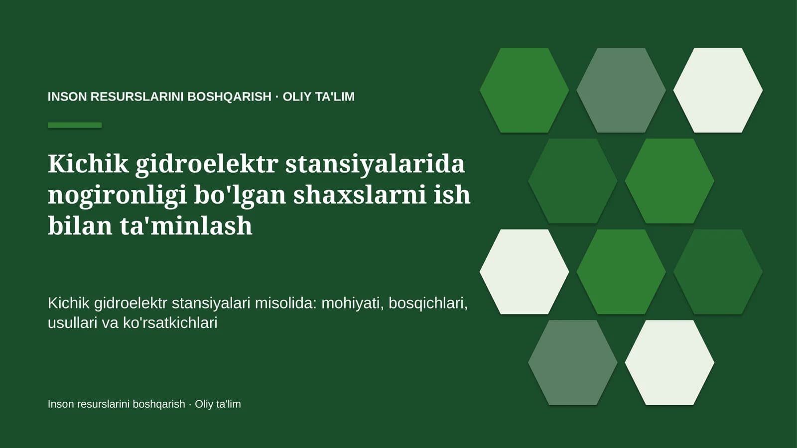 Kichik gidroelektr stansiyalarida nogironligi bo'lgan shaxslarni ish bilan ta'minlash