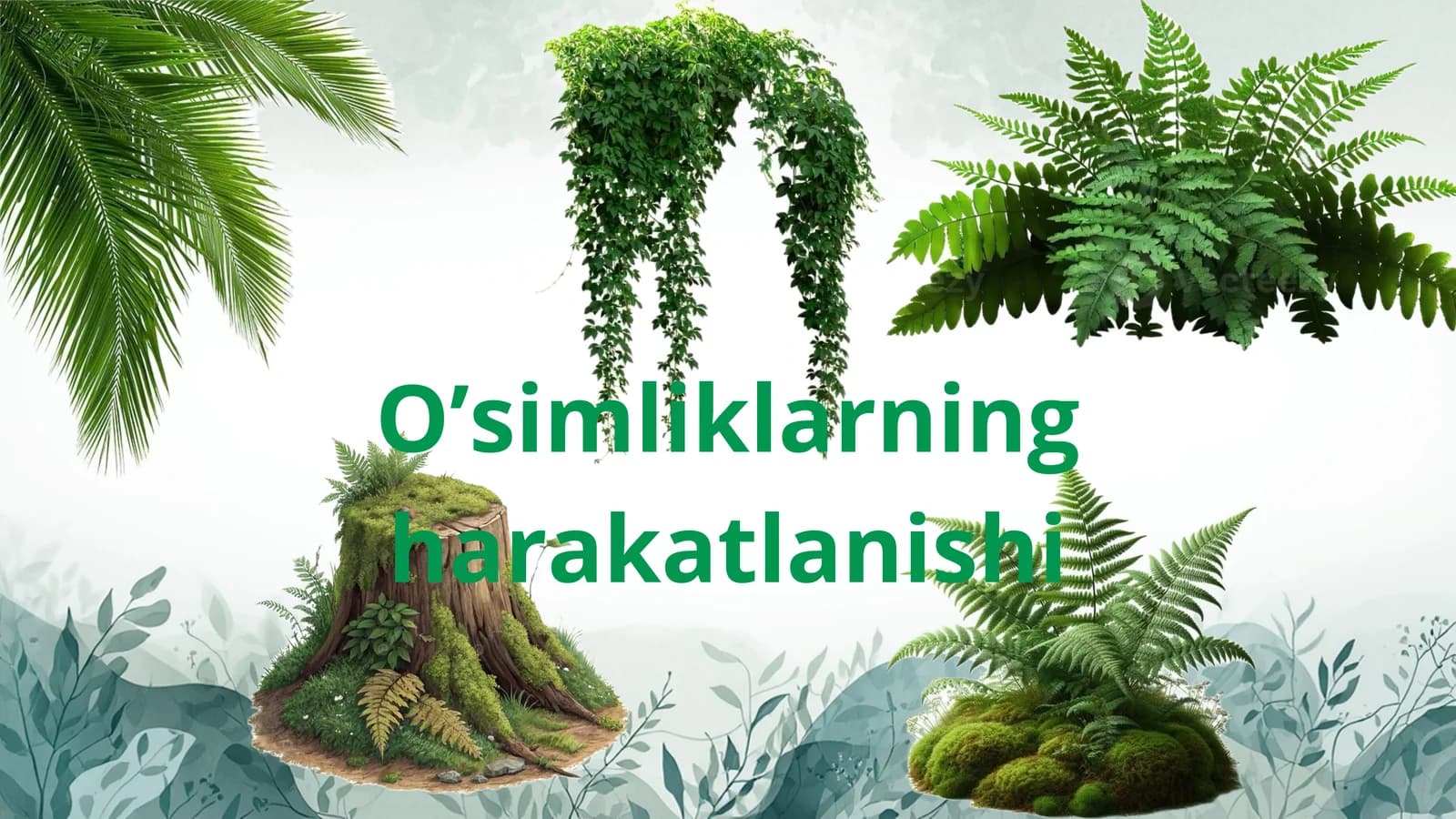 Oʻsimliklarning harakatlanishi