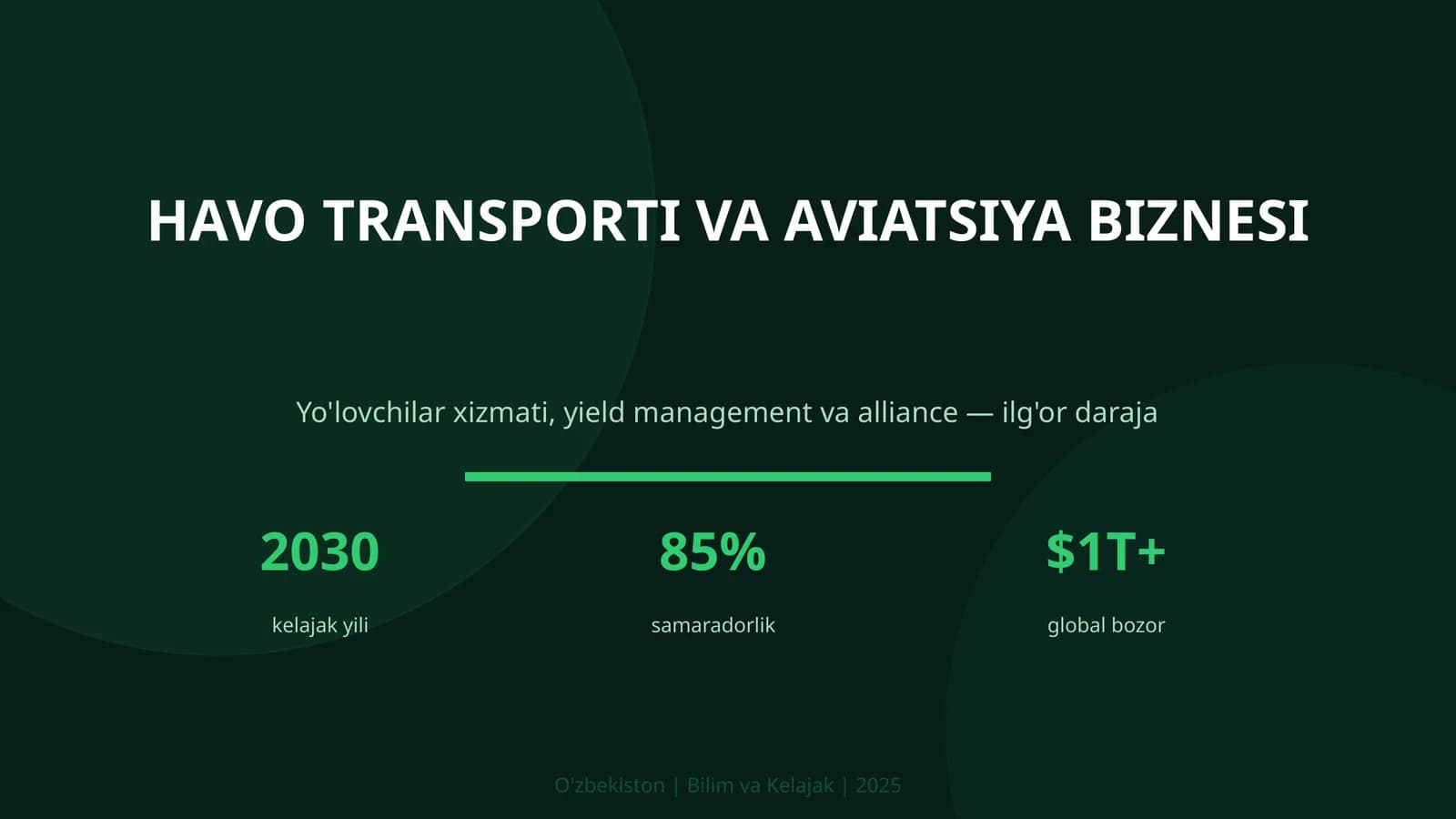 HAVO TRANSPORTI VA AVIATSIYA BIZNESI