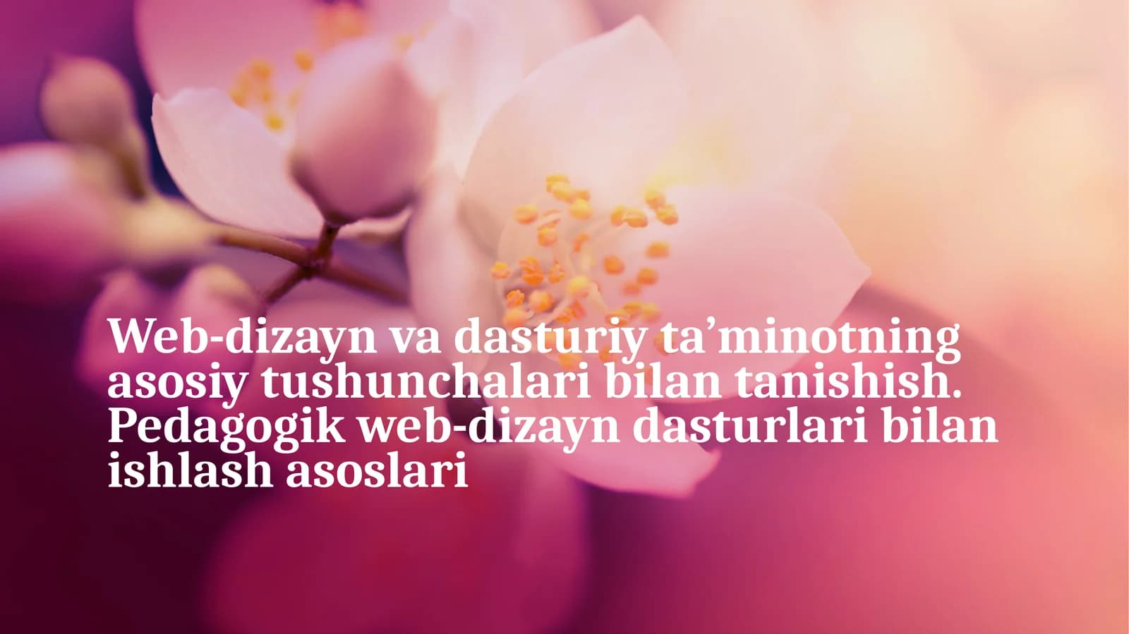 Web-dizayn va uning asoslari