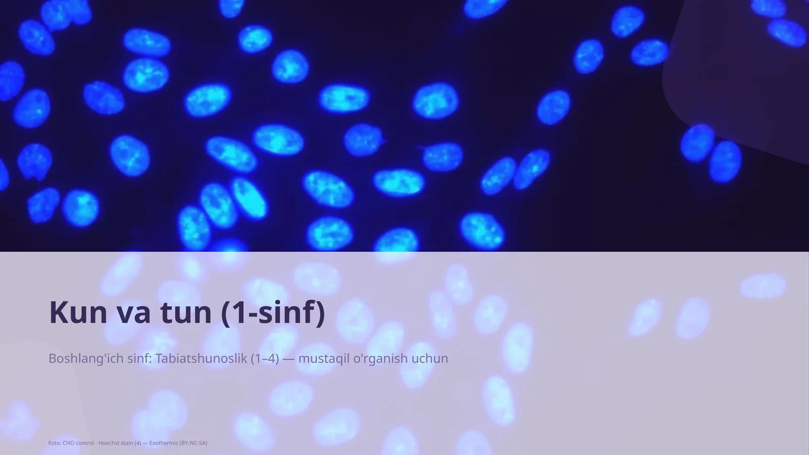 Kun va tun (1-sinf)