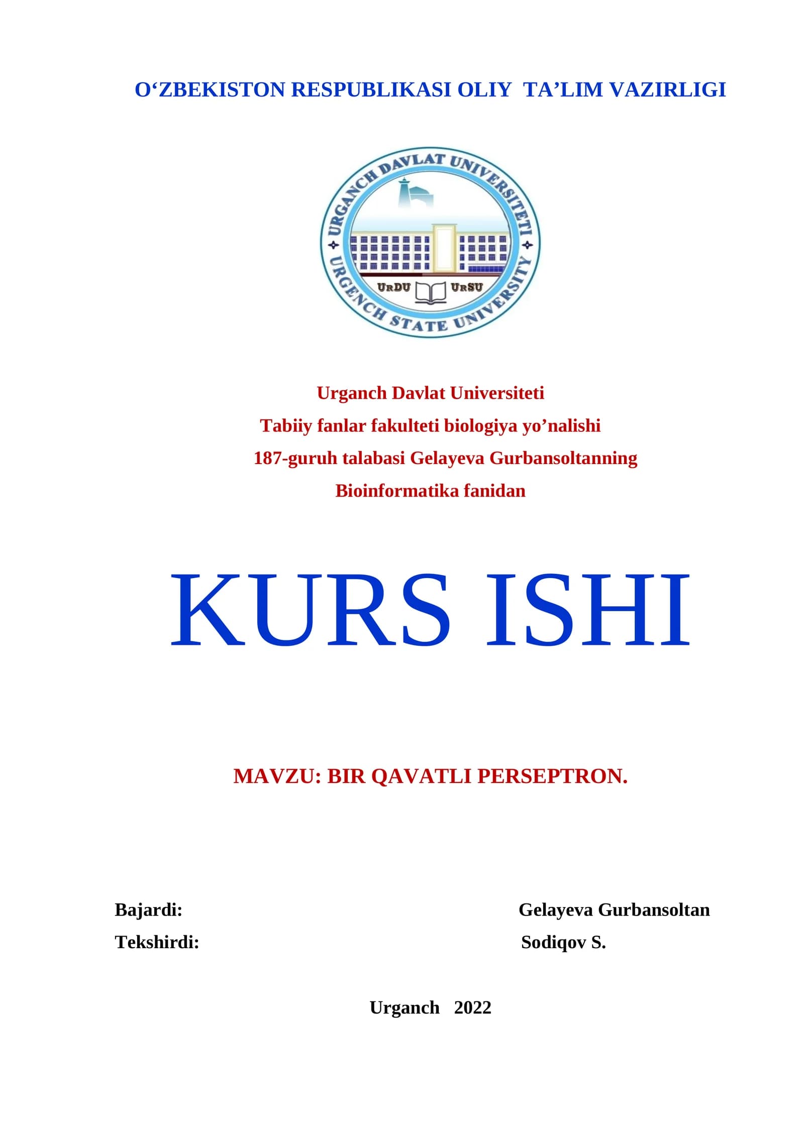 BIR QAVATLI PERSEPTRON