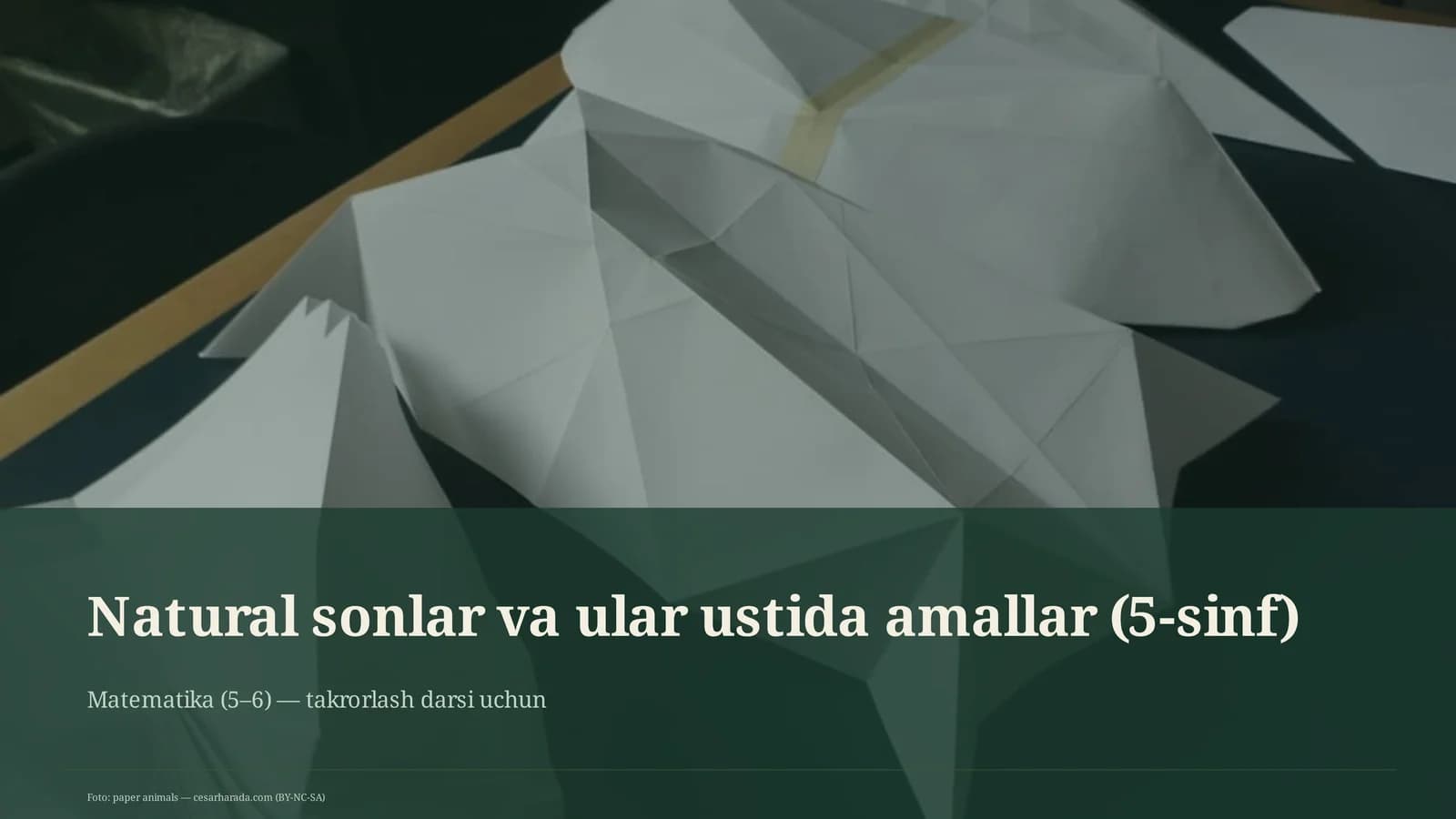 Natural sonlar va ular ustida amallar (5-sinf)