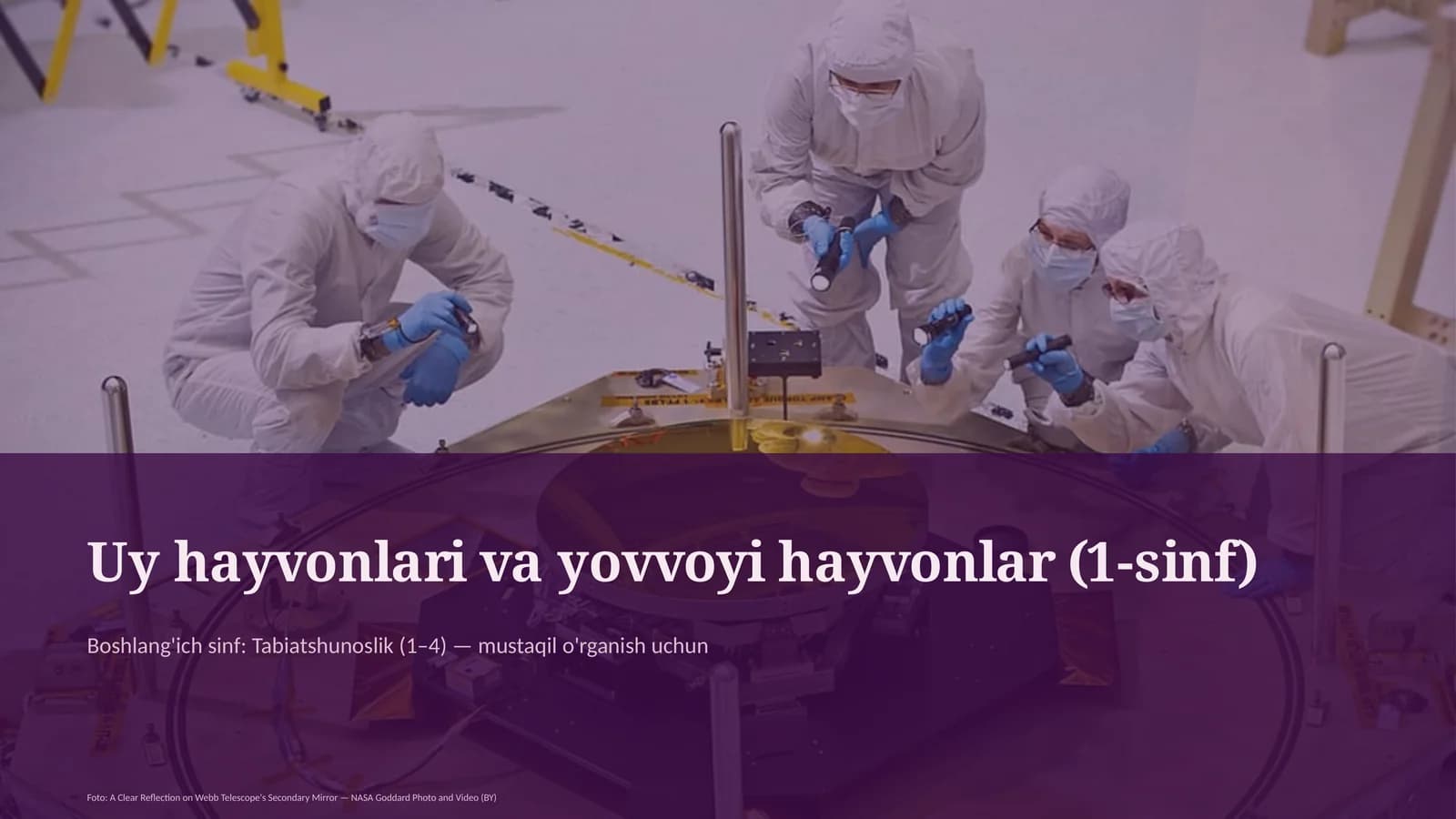 uy hayvonlari va yovvoyi hayvonlar 1 sinf 818