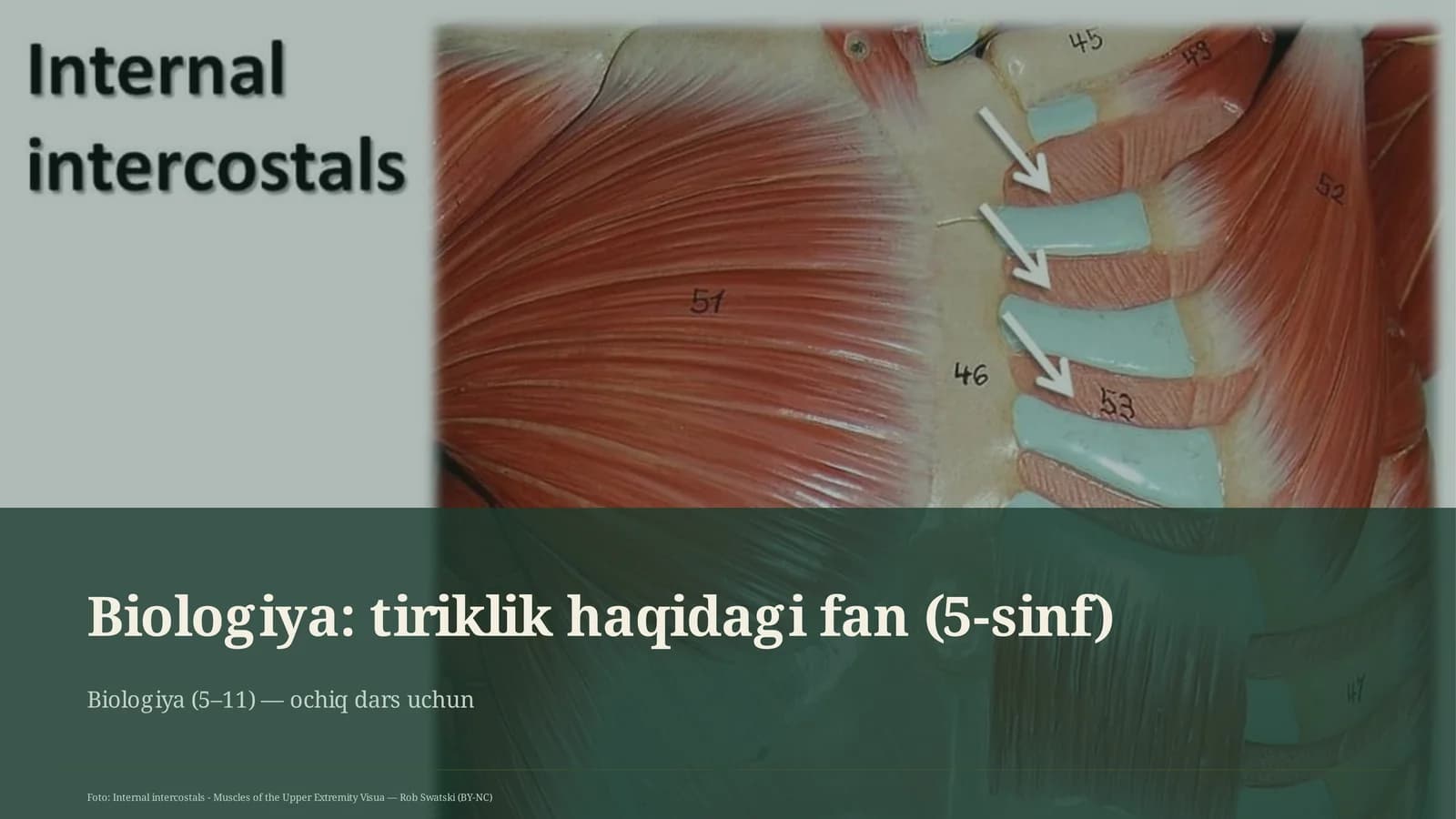 Biologiya: tiriklik haqidagi fan (5-sinf)