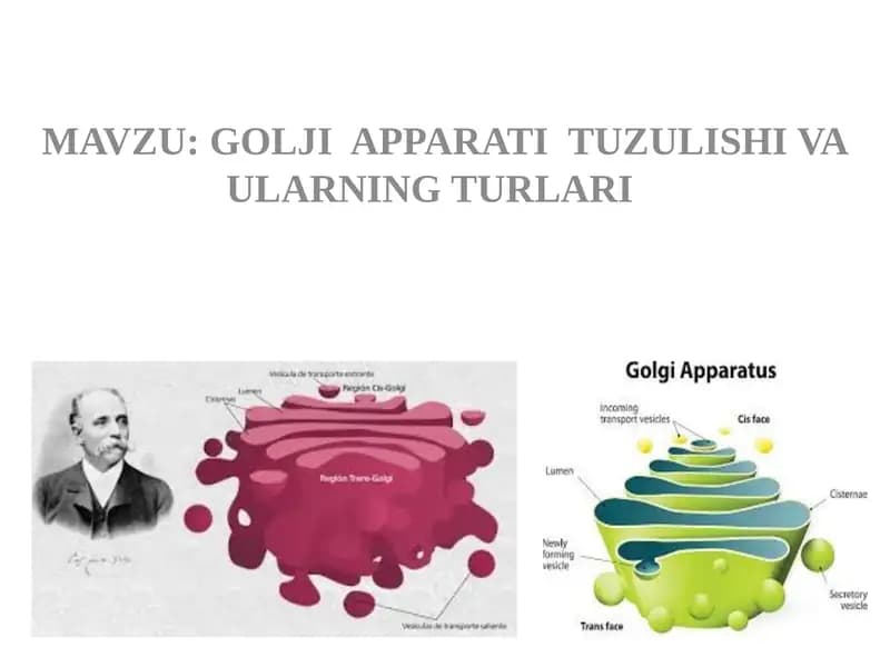 Golji Apparati Tuzulishi va Ularning Turlari