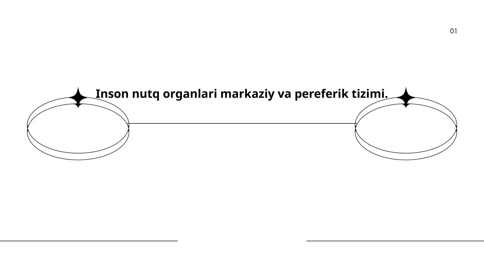 Inson nutq organlari markaziy va pereferik tizimi