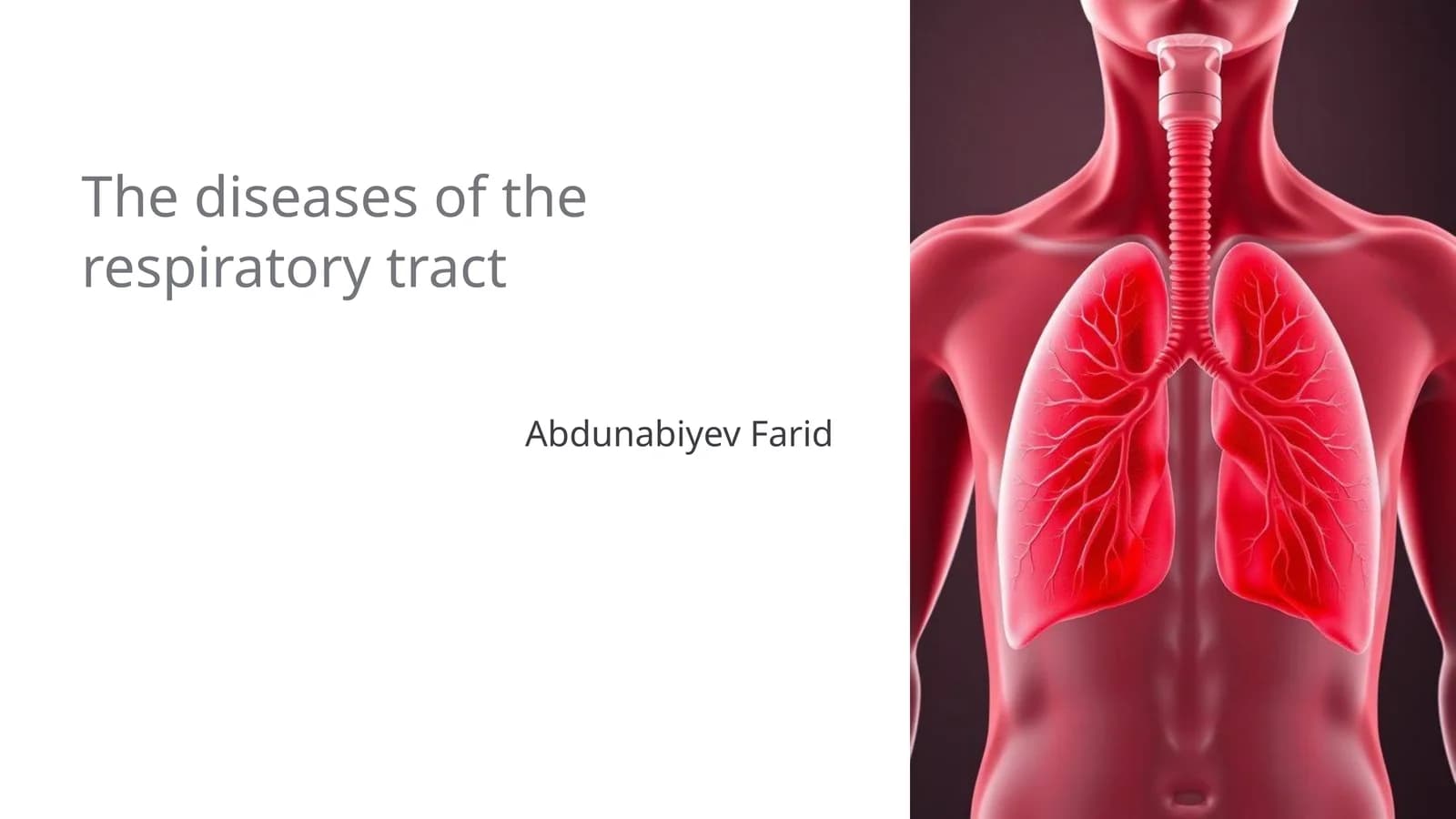 The diseases of the respiratory tract