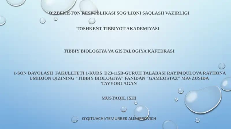 GAMEOSTAZ
