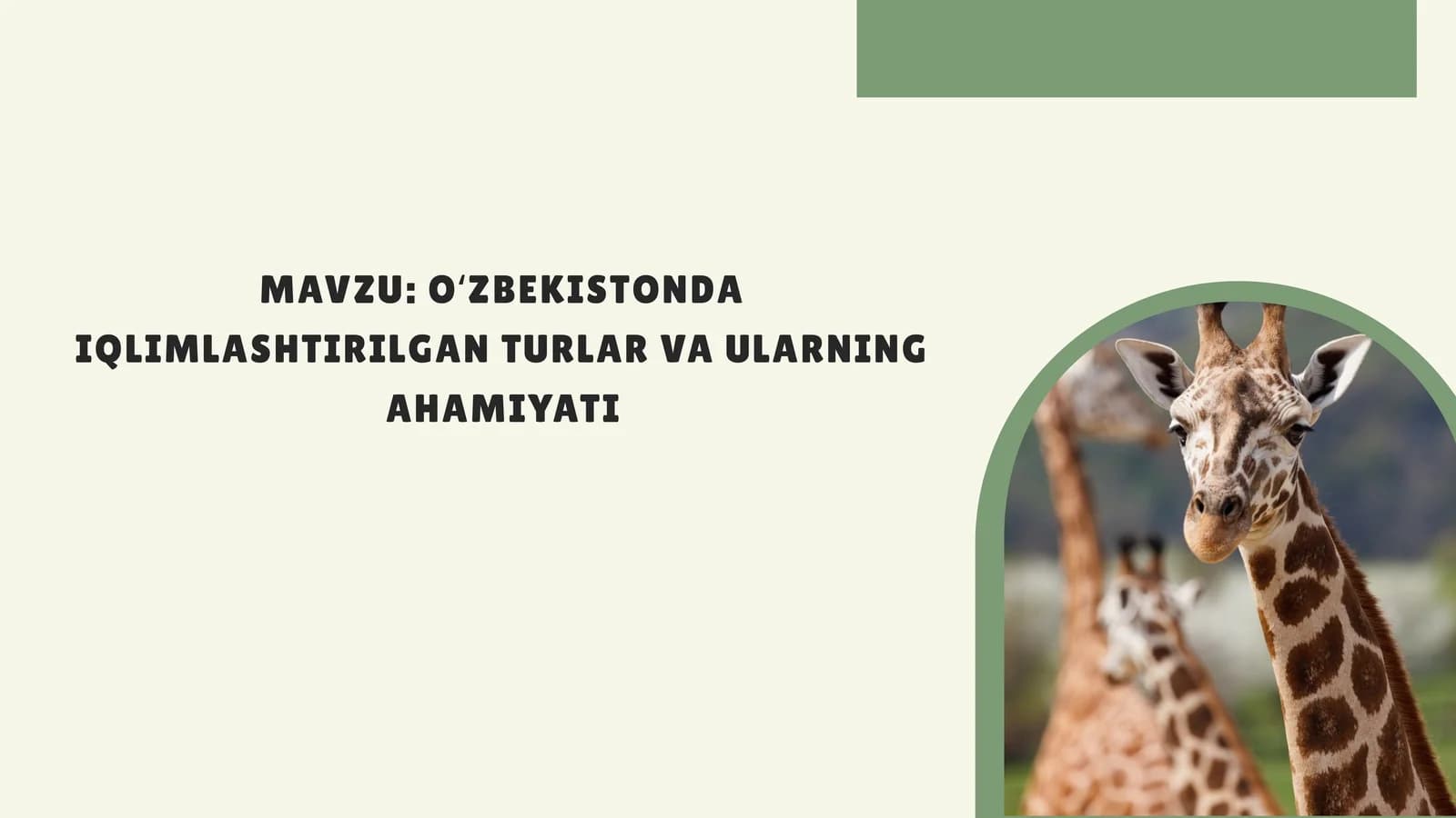 OʻZBEKISTONDA IQLIMLASHTIRILGAN TURLAR VA ULARNING AHAMIYATI