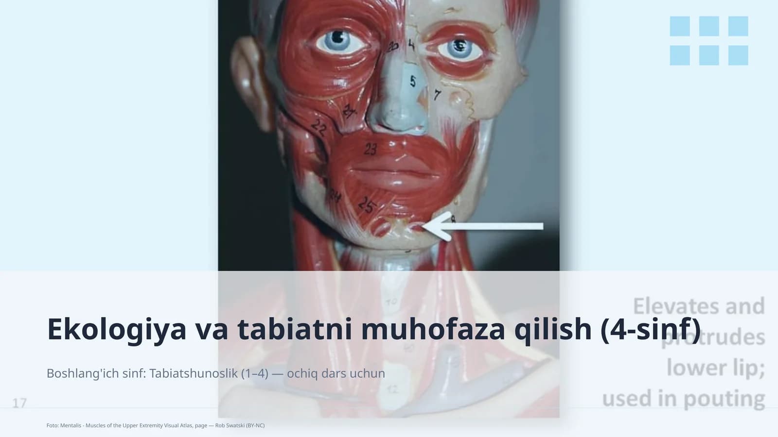 Ekologiya va tabiatni muhofaza qilish (4-sinf)