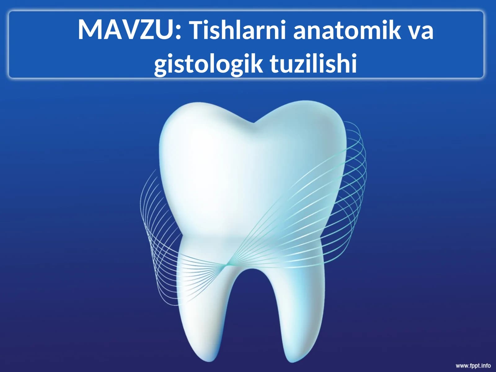 Tishlarni anatomik va gistologik tuzilishi
