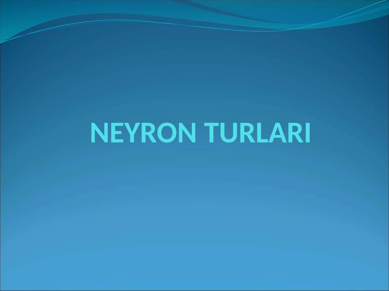 NEYRON TURLARI