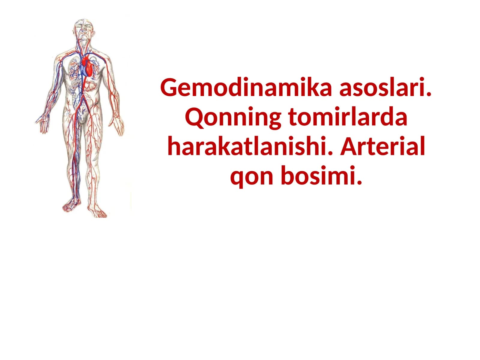 Gemodinamika asoslari