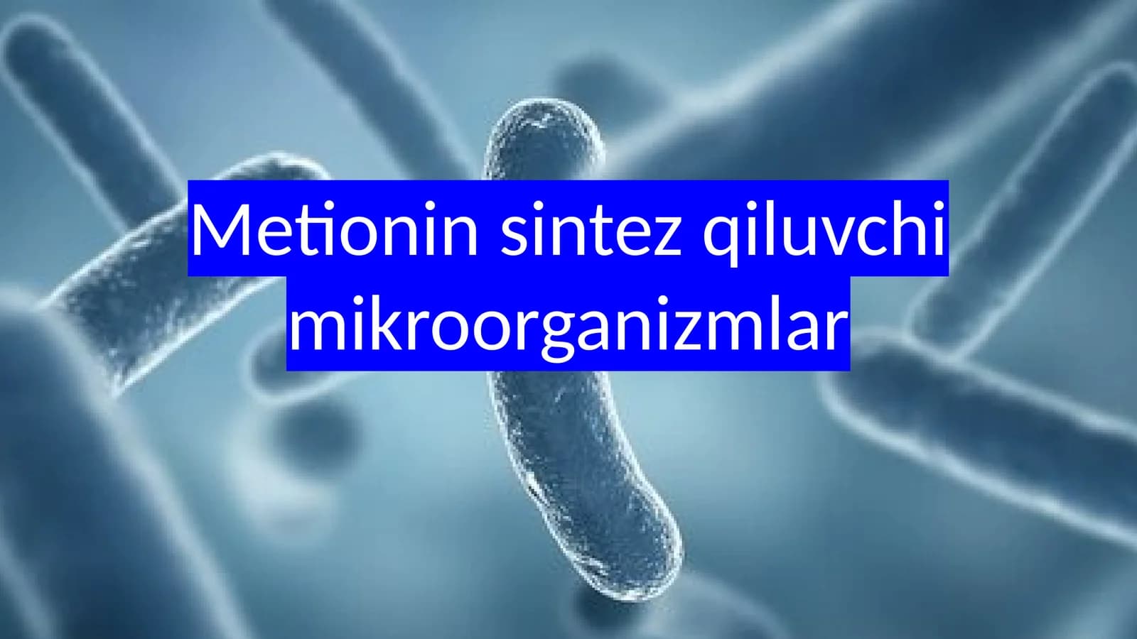 Metionin sintez qiluvchi mikroorganizmlar
