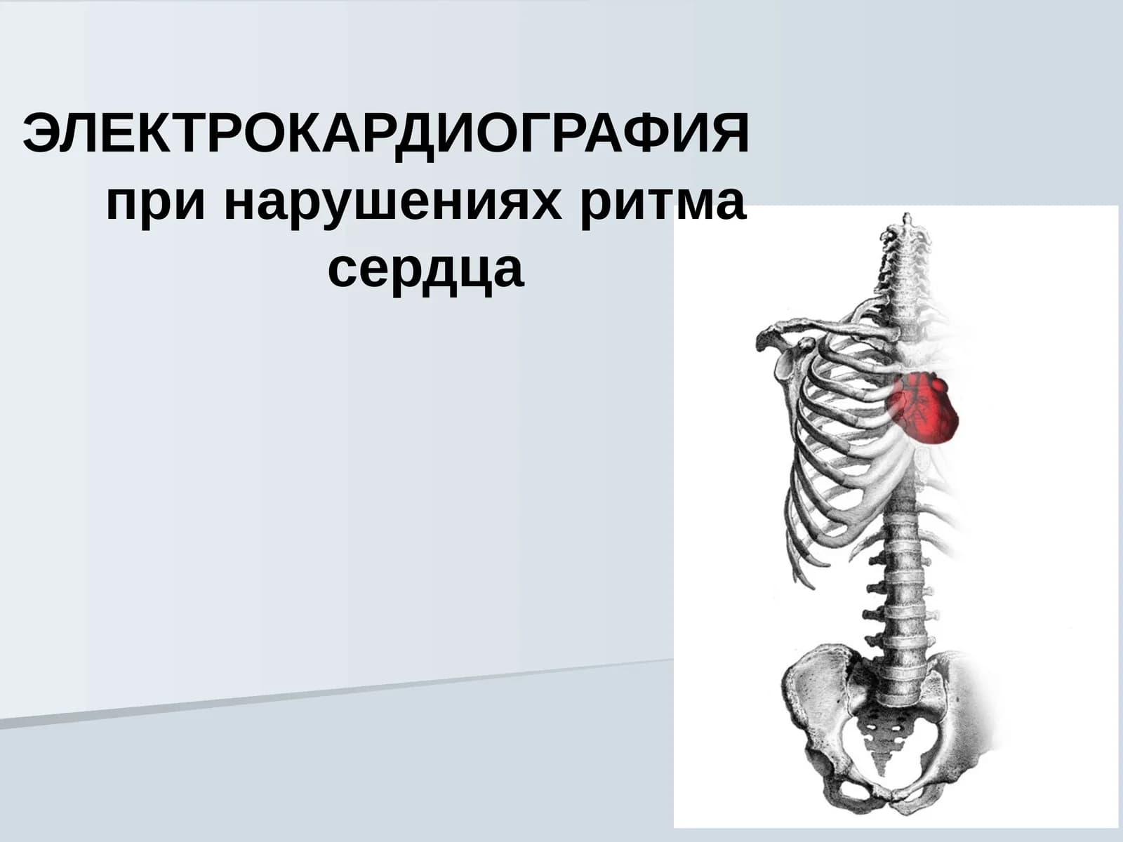 ЭЛЕКТРОКАРДИОГРАФИЯ