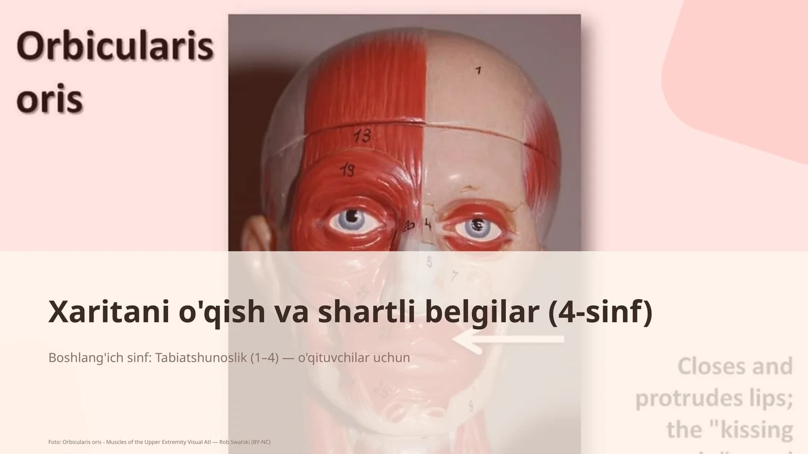 Xaritani o'qish va shartli belgilar (4-sinf)