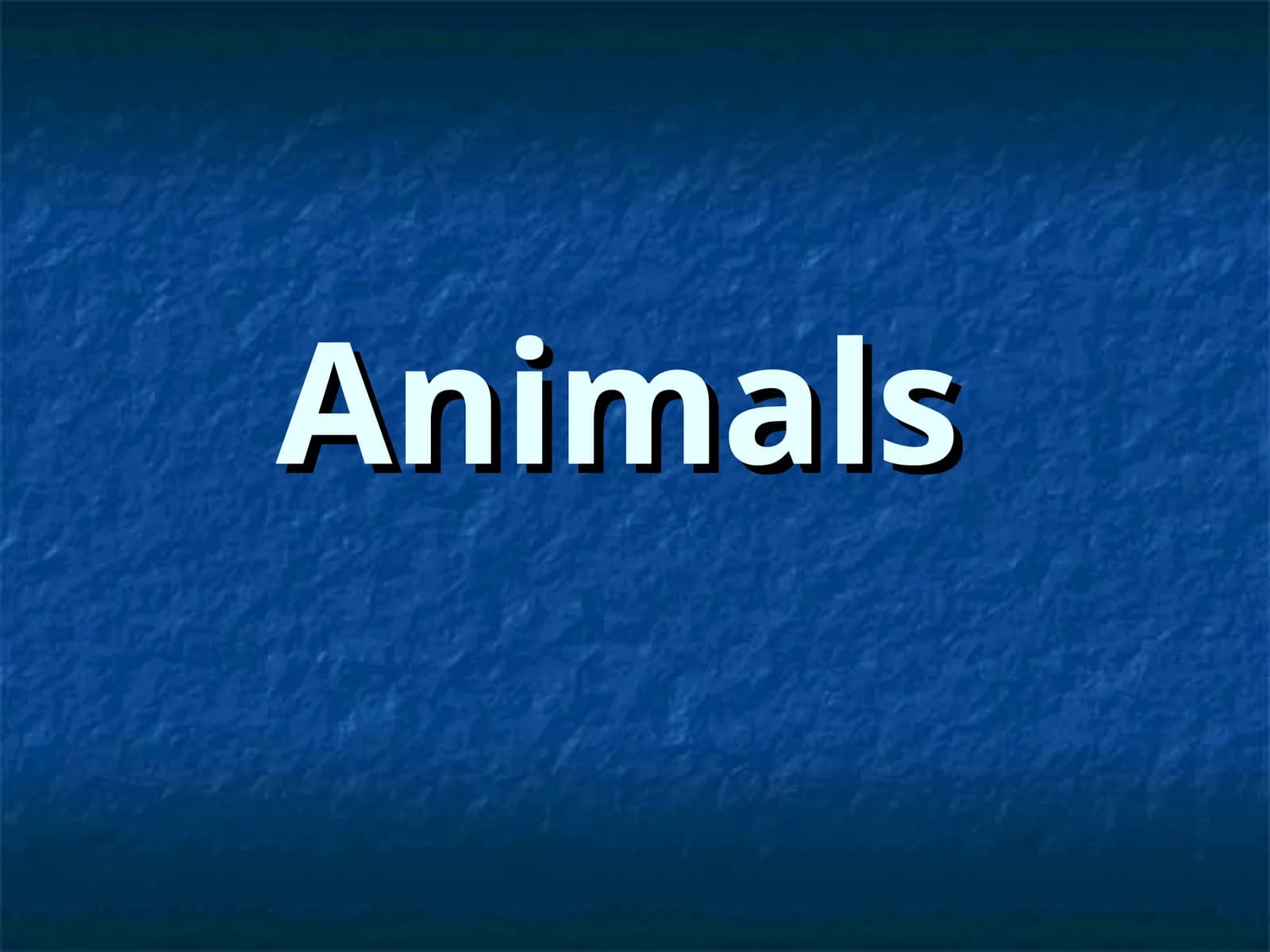 Animals