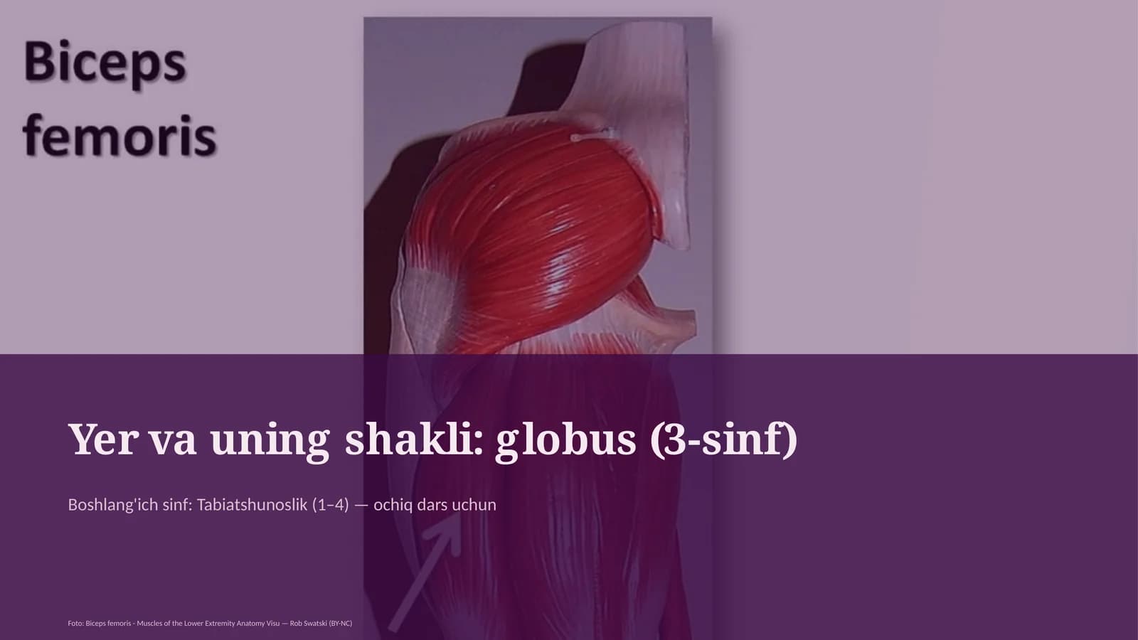 Yer va uning shakli: globus (3-sinf)
