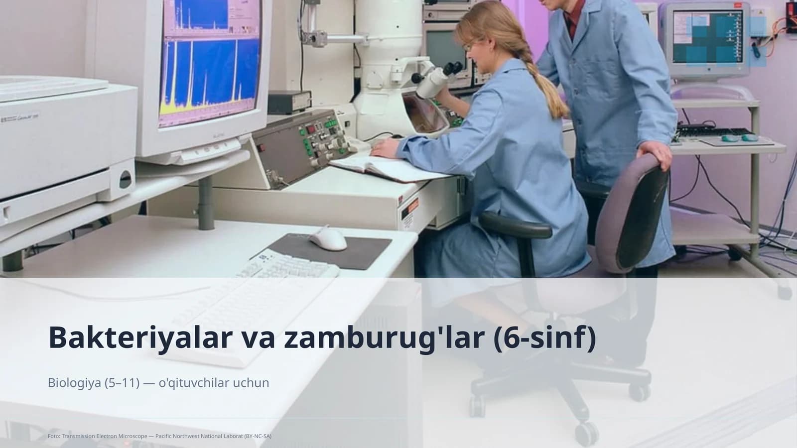Bakteriyalar va zamburug'lar (6-sinf)