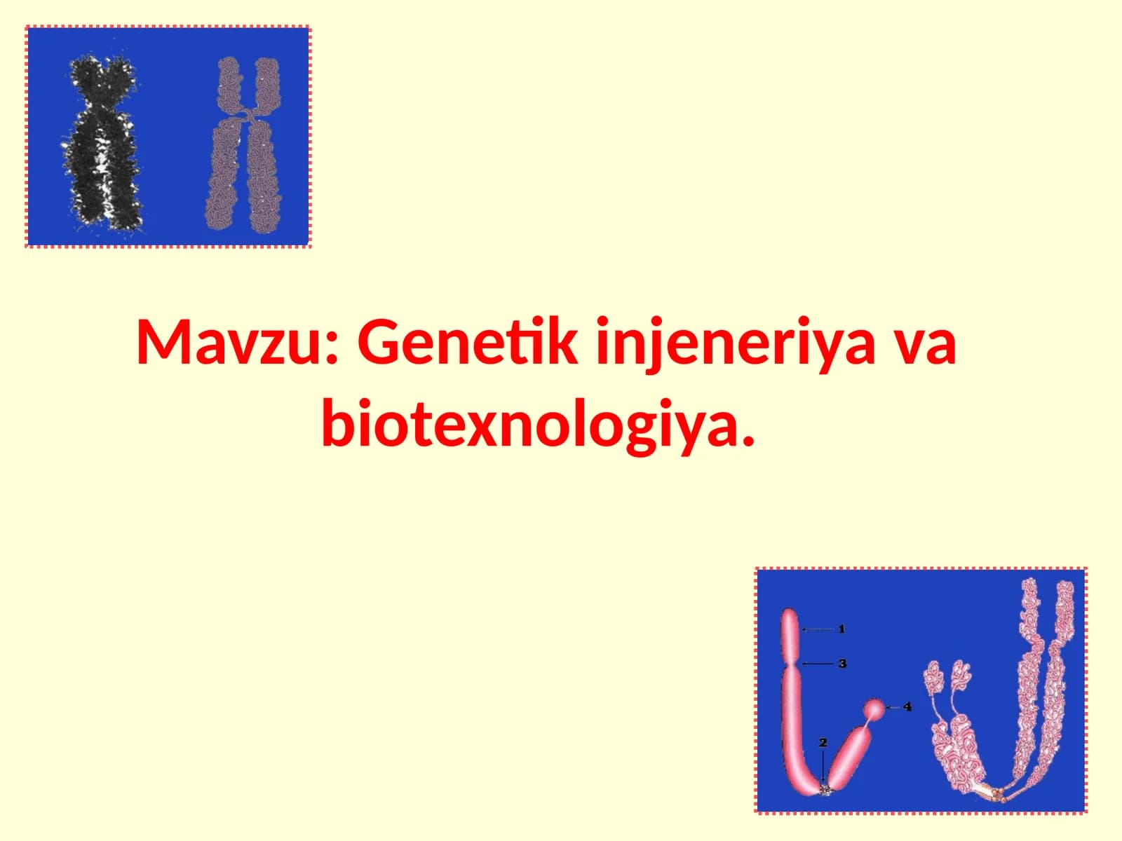 Genetika, Yengilbiyo, Gen muhandisligi