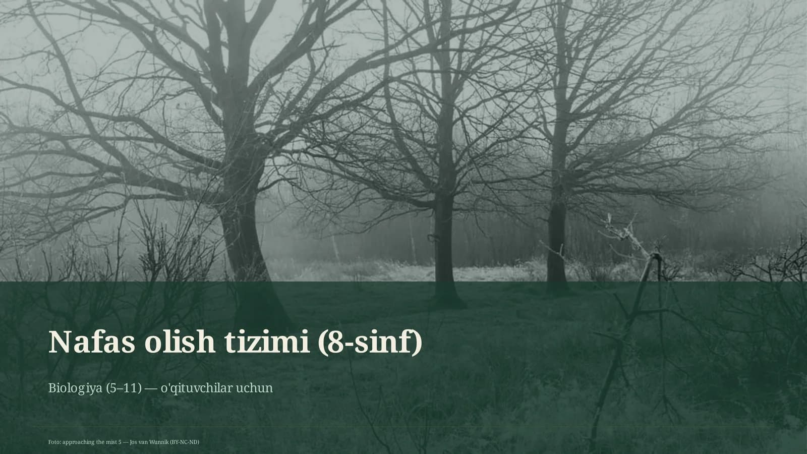 Nafas olish tizimi (8-sinf)