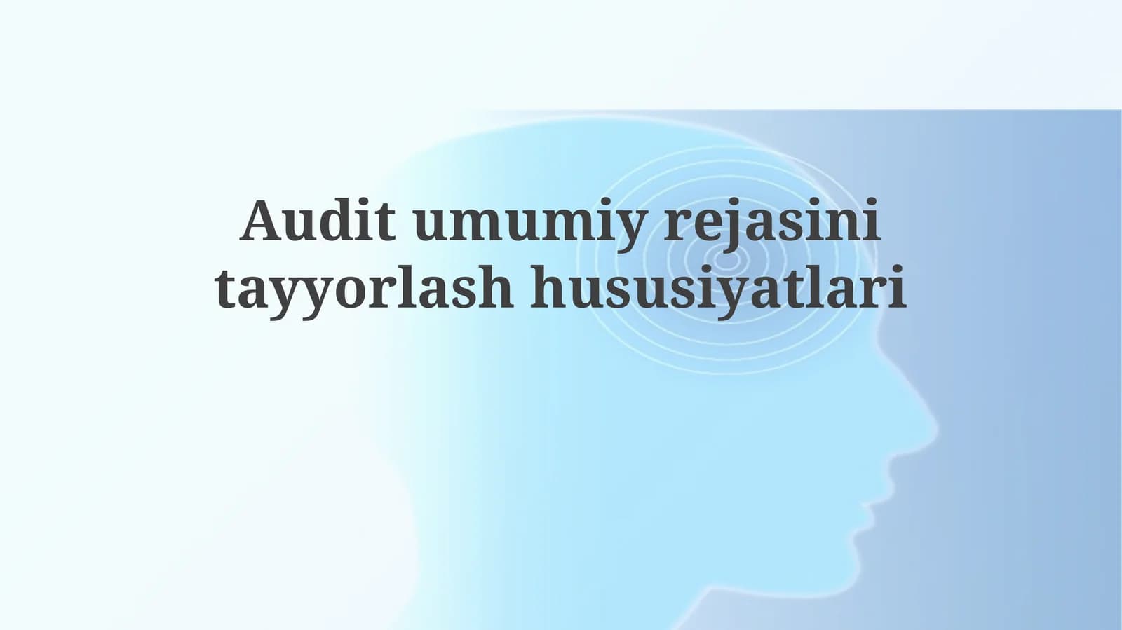 Auditumumiyrejasinitayyorlashhususiyatlari