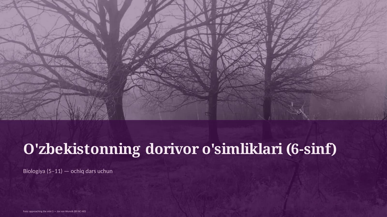O'zbekistonning dorivor o'simliklari (6-sinf)