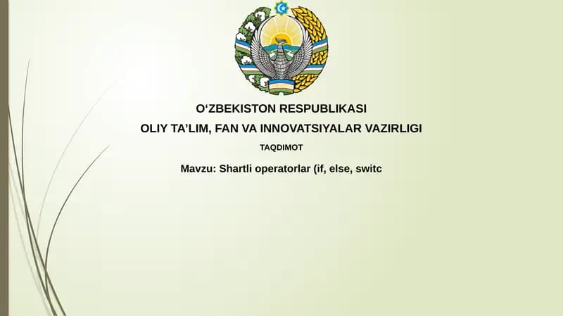 Shartli operatorlar (if, else, switch)