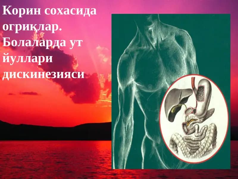 Корин сохасида огриқлар. Болаларда ут  йуллари дискинезияси