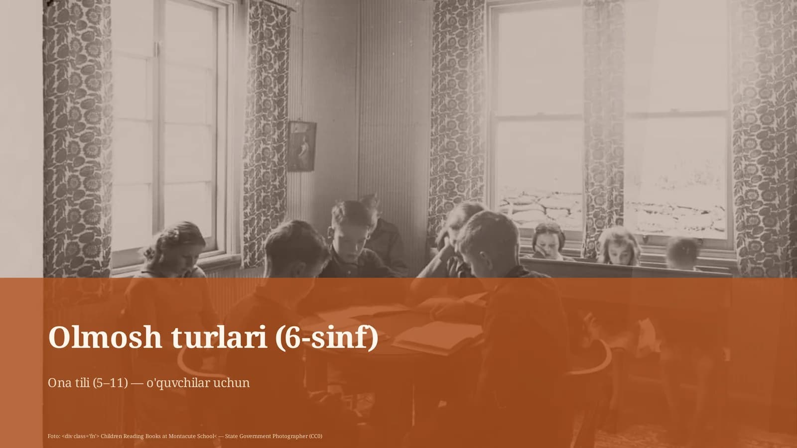 Olmosh turlari (6-sinf)