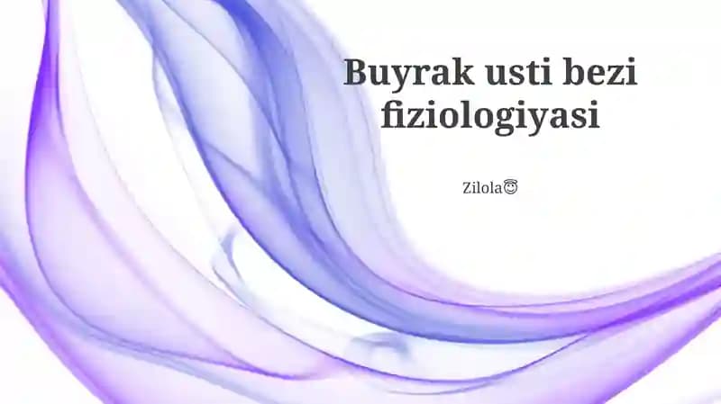 Buyrak usti bezi fiziologiyasi