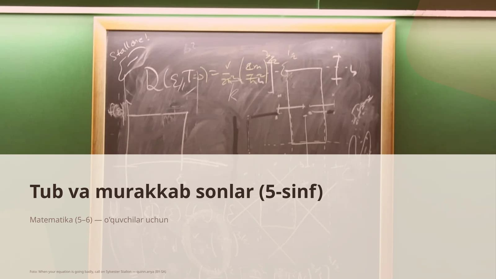 Tub va murakkab sonlar (5-sinf)