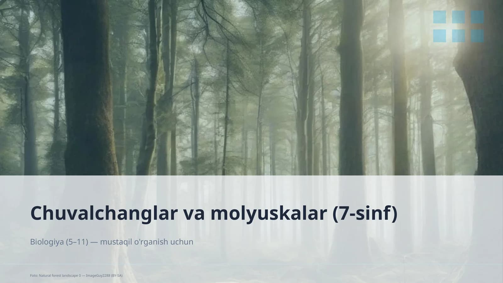 Chuvalchanglar va molyuskalar (7-sinf)