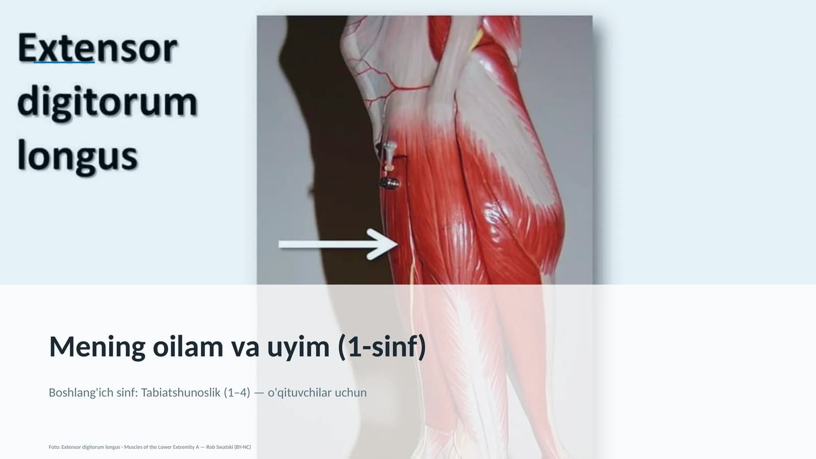 Mening oilam va uyim (1-sinf)