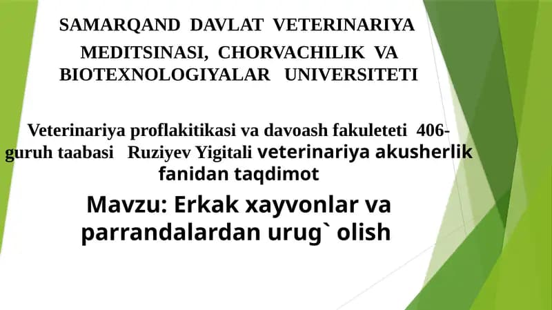 Erkak xayvonlar va parrandalardan urug` olish