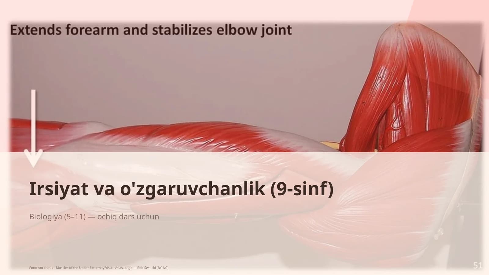 Biologiya (5–11) — ochiq dars uchun