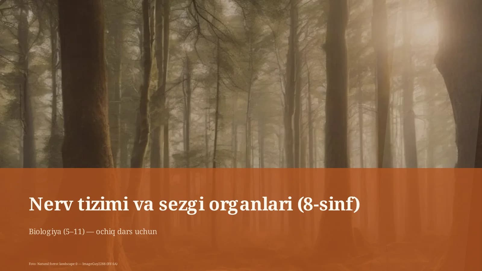 Nerv tizimi va sezgi organlari (8-sinf)