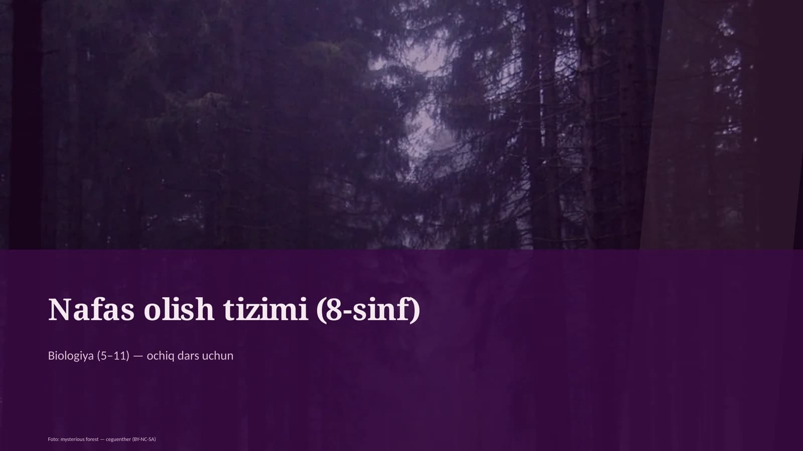 Nafas olish tizimi (8-sinf)