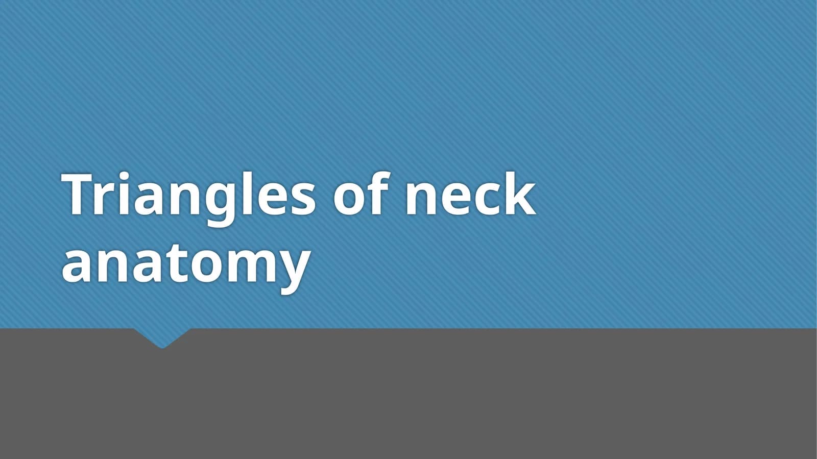 Triangles of neck anatomy