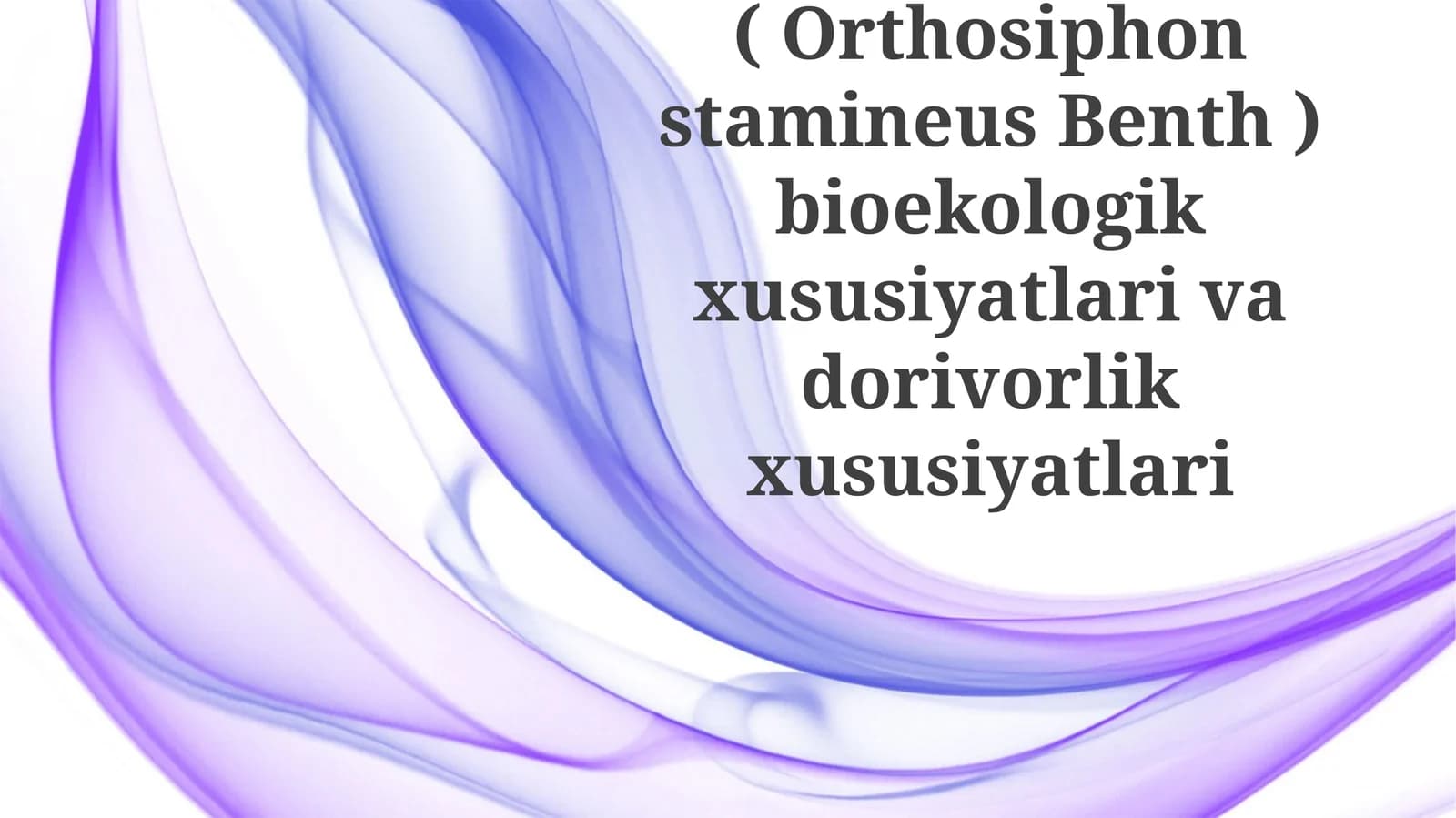Buyrakchoyi(OrthosiphonstamineusBenth)bioekologik xususiyatlari va dorivorlik xususiyatlari