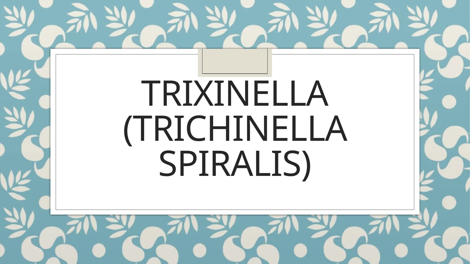 Trixinella(Trichinella spiralis)