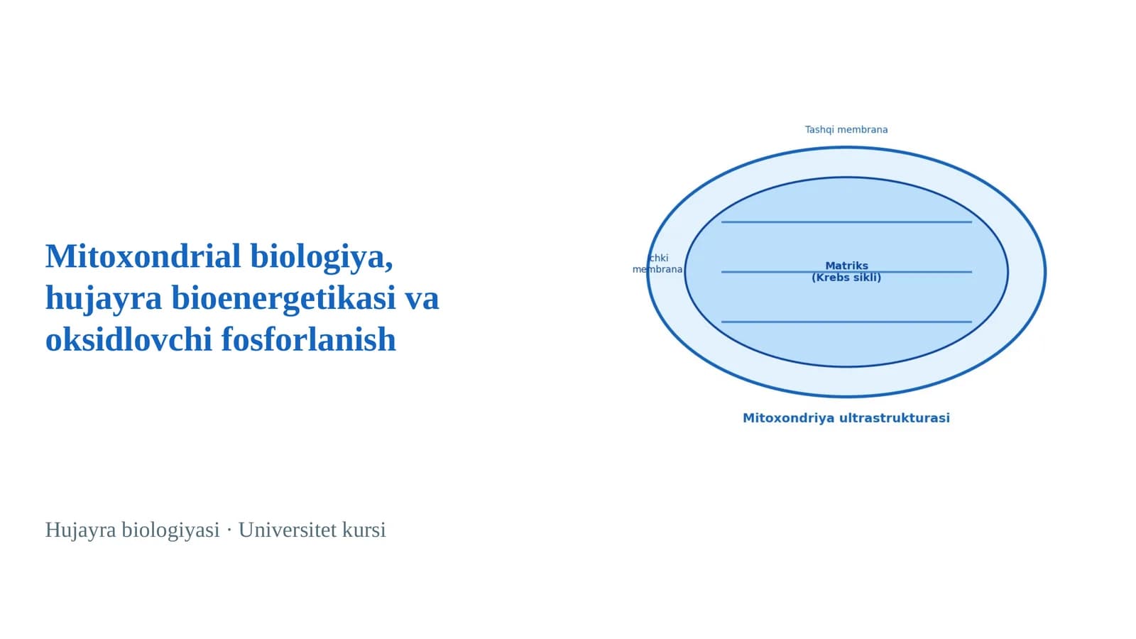 Mitoxondrial biologiya, hujayra bioenergetikasi va oksidlovchi fosforlanish